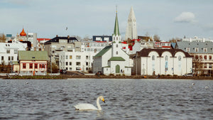 Fagnaðu degi menningarinnar með Tertugalleríinu!